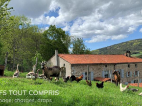 Gîte chaleureux avec cheminée, espace jeux et animaux, proche nature et activités familiales - FR-1-496-315